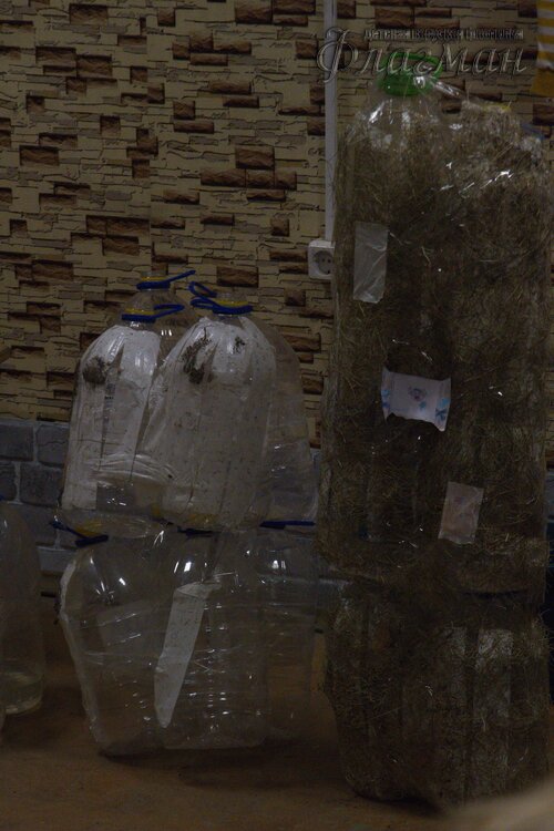 2022-08-17 17-54-31_IMG_0028_r